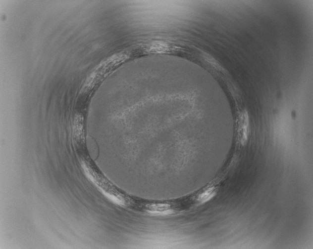 X0000051860361200507151826