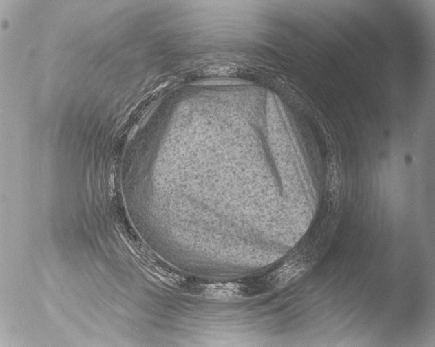 X0000051860363200507151826