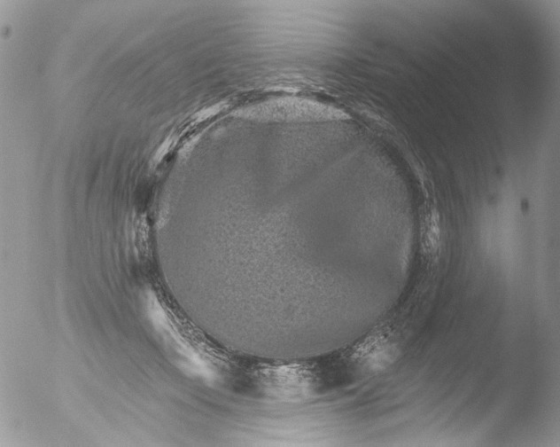 X0000051860365200507151826