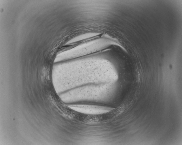 X0000051860368200507151826