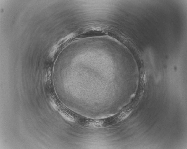 X0000051860369200507151826