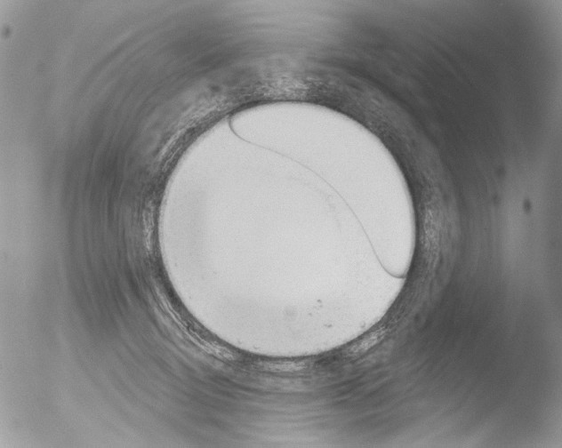 X0000051860370200507151826