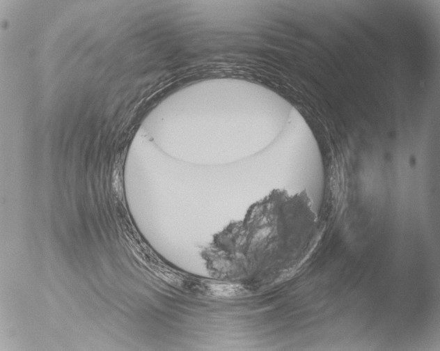 X0000051860371200507151826