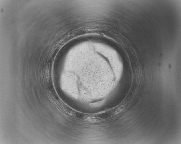 X0000051860372200507151826