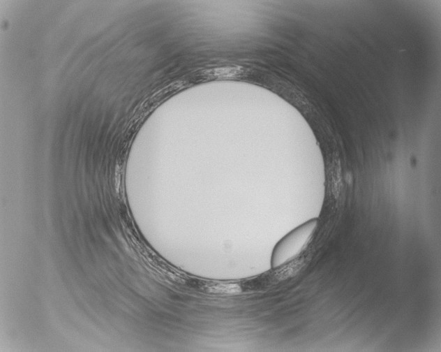 X0000051860374200507151826