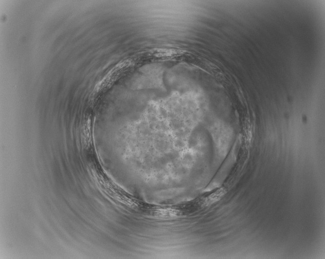 X0000051860376200507151827