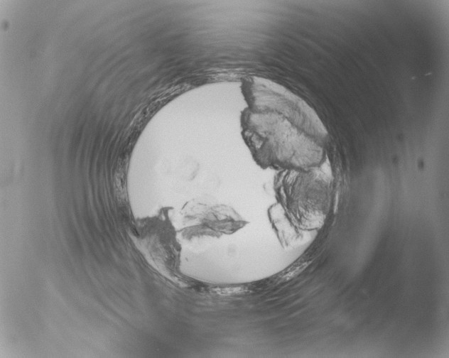 X0000051860377200507151827