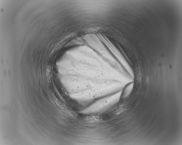 X0000051860378200507151827