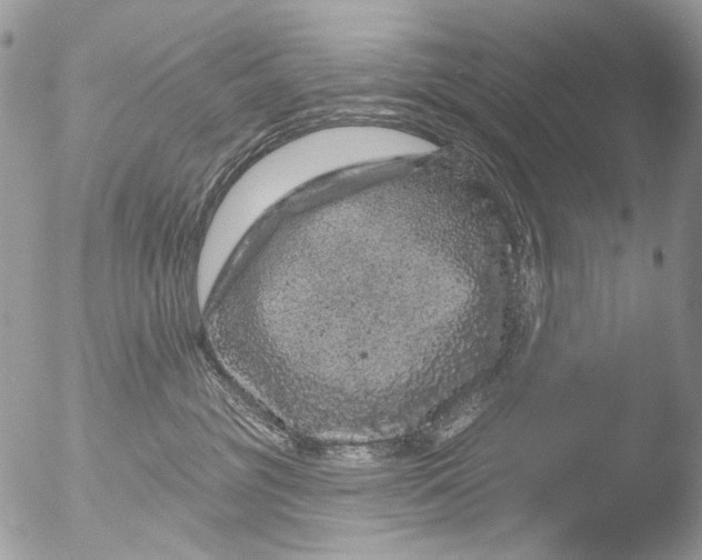 X0000051860381200507151827