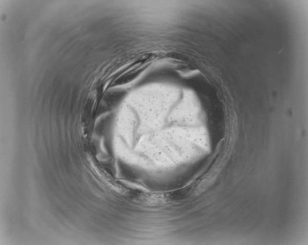 X0000051860384200507151827