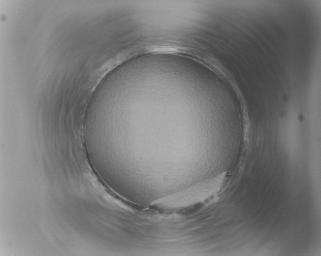 X0000051860385200507151826