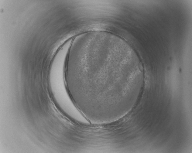 X0000051860386200507151826