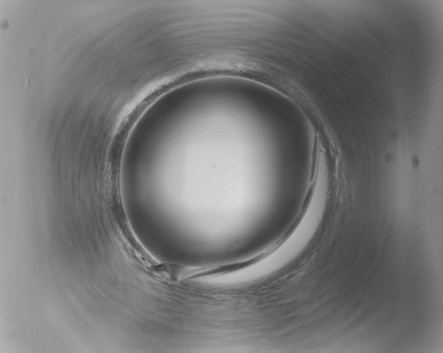 X0000051860388200507151826