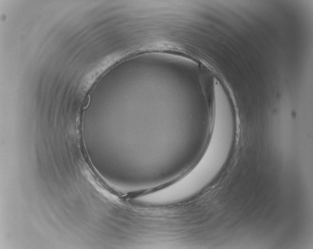 X0000051860389200507151826