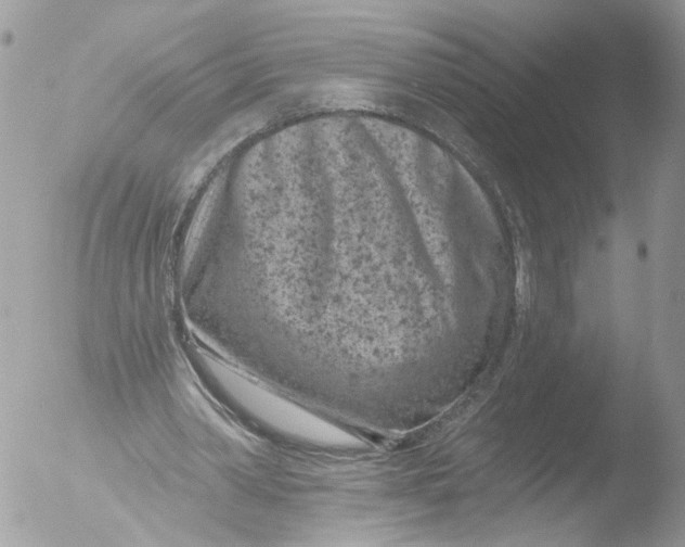 X0000051860390200507151826