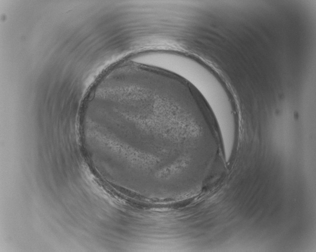 X0000051860391200507151826