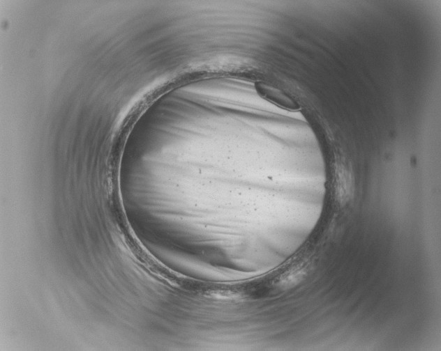 X0000051860392200507151826