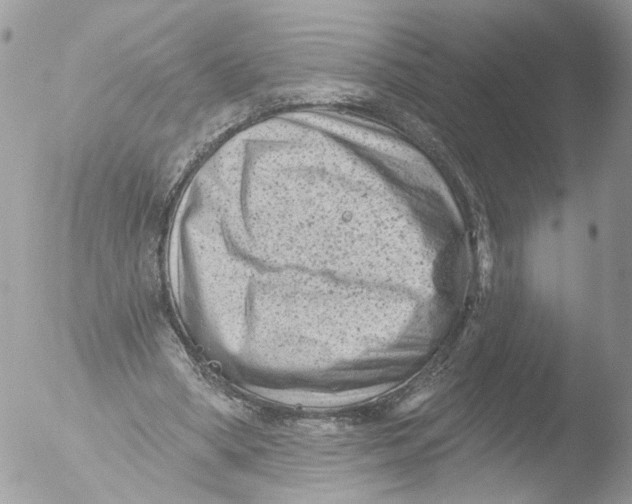 X0000051860394200507151826