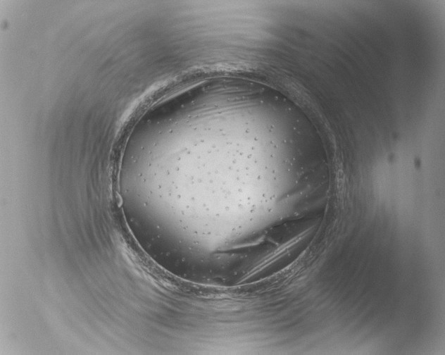 X0000051860395200507151826