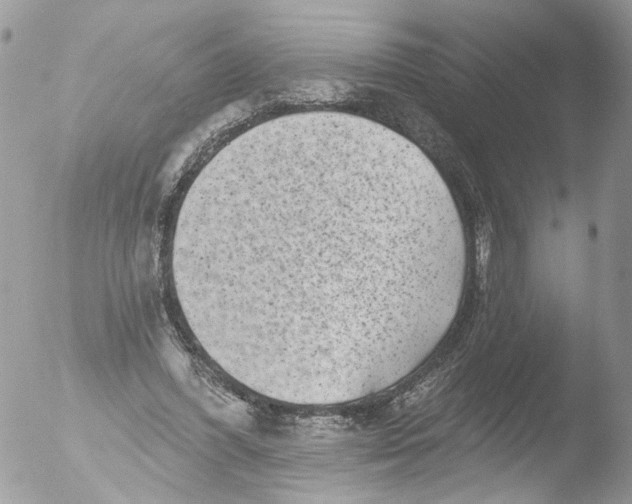 X0000051860396200507151826