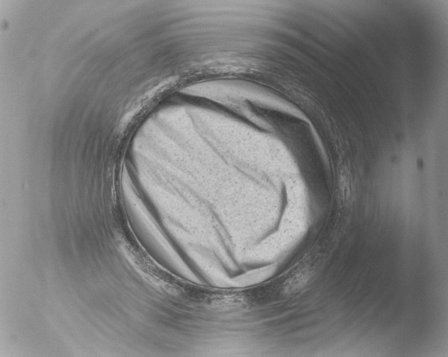 X0000051860398200507151826