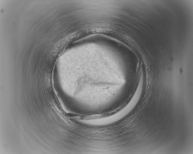 X0000051860401200507151826