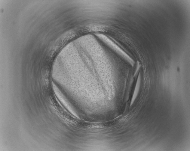 X0000051860402200507151826