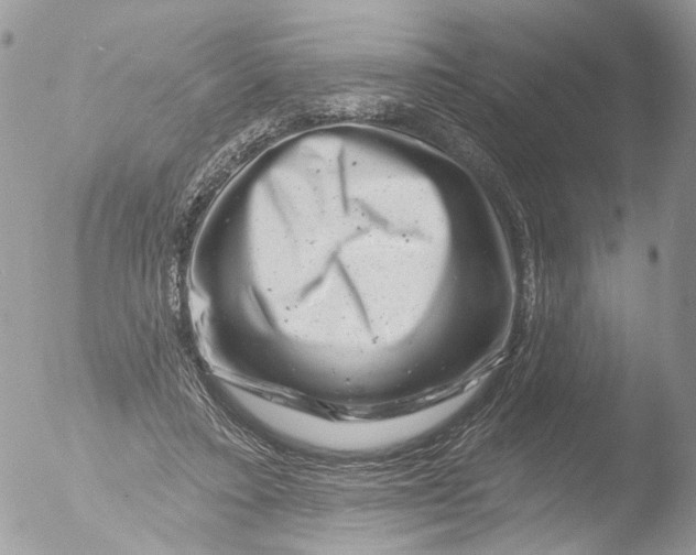 X0000051860403200507151826