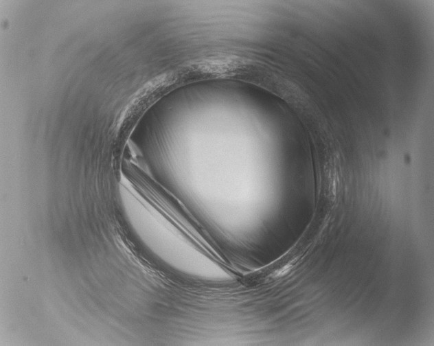 X0000051860404200507151826