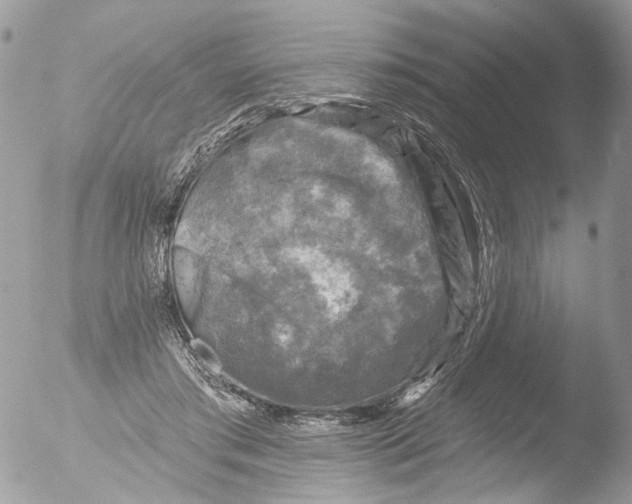 X0000051860405200507151825