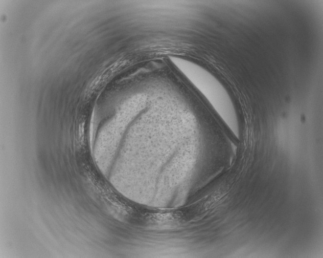 X0000051860406200507151825