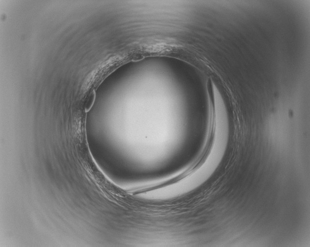 X0000051860407200507151825