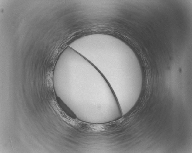 X0000051860409200507151825