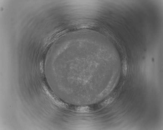 X0000051860410200507151825