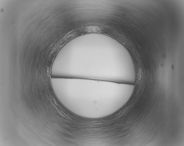 X0000051860413200507151825