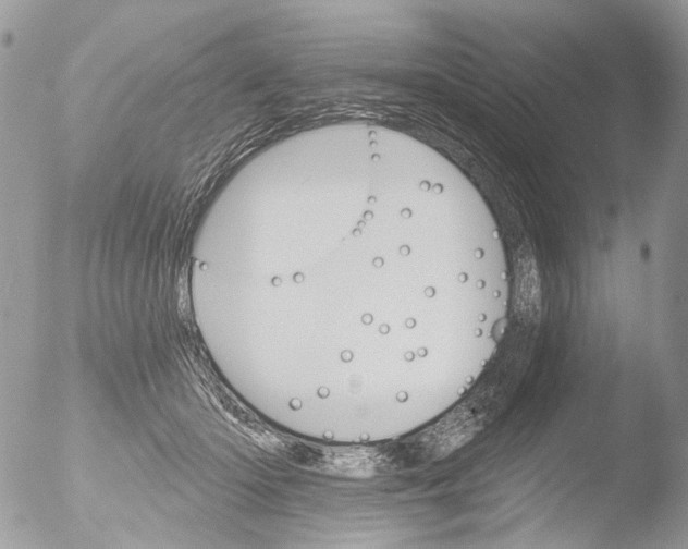 X0000051860414200507151825