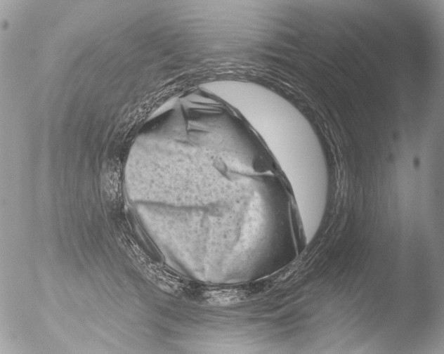 X0000051860417200507151825