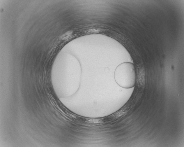 X0000051860418200507151825