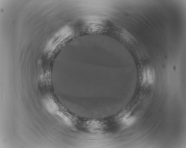 X0000051860419200507151825