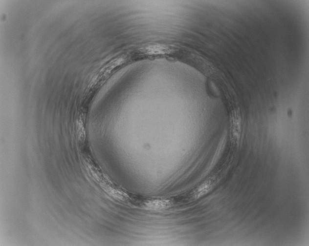 X0000051860422200507151825