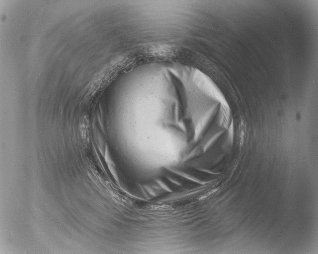 X0000051860424200507151825