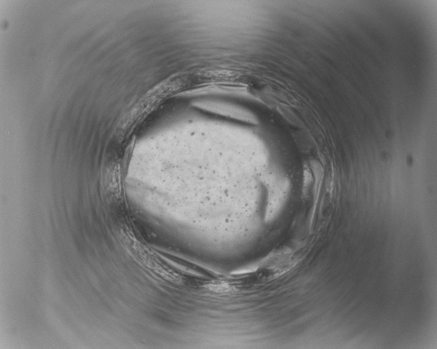 X0000051860425200507151825