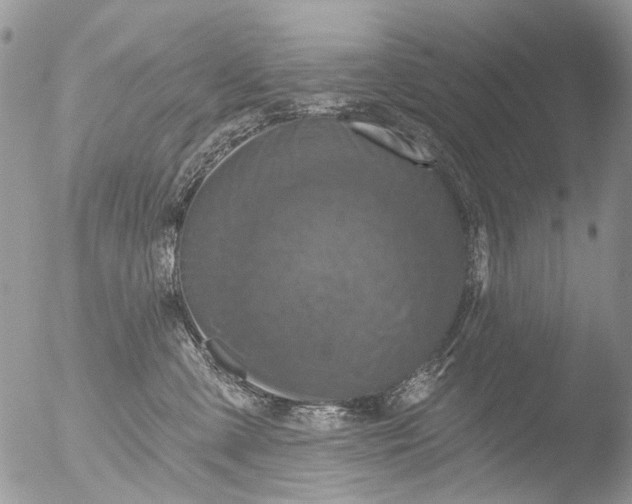 X0000051860427200507151825