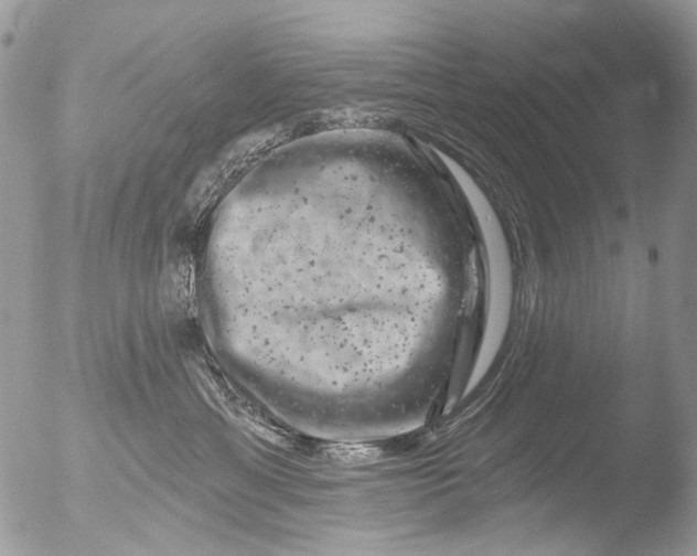 X0000051860429200507151825