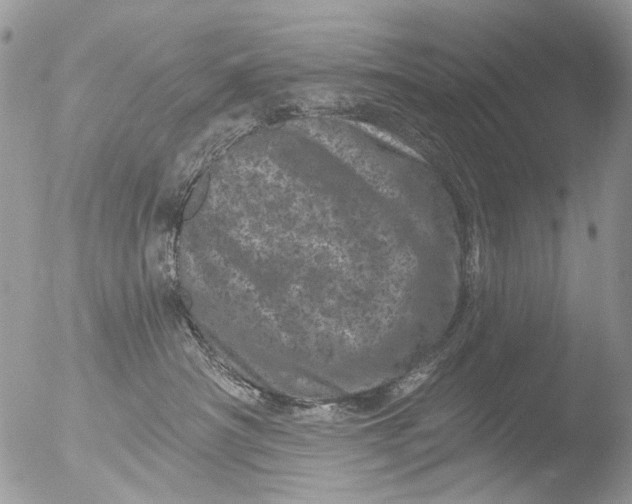 X0000051860430200507151825