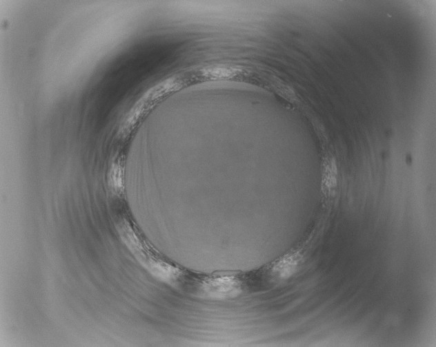 X0000051860431200507151825