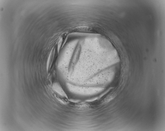 X0000051860432200507151825