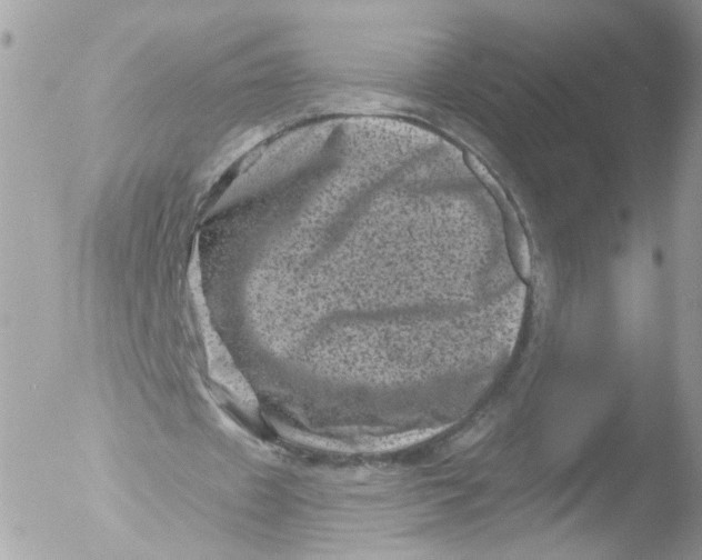 X0000051860433200507151824