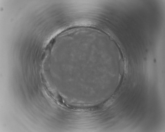 X0000051860434200507151824