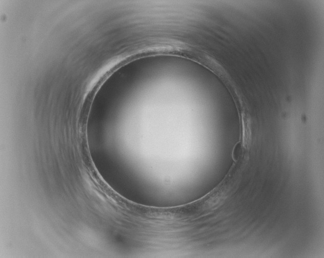 X0000051860435200507151824